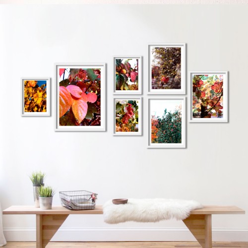My Garden Çerçeveli Poster Seti