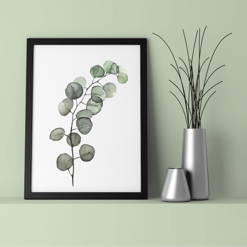 Okaliptüs Yapraklar Çerçeveli Poster