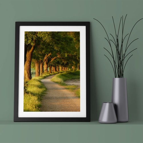 Yol ve Orman Çerçeveli Poster