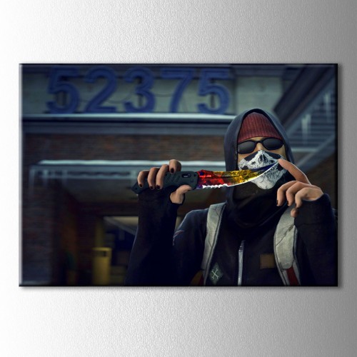 Knife Cs: GO Kanvas Tabloo