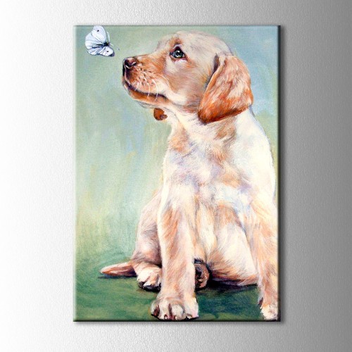 Labrador ve Kelebek Kanvas Tablo