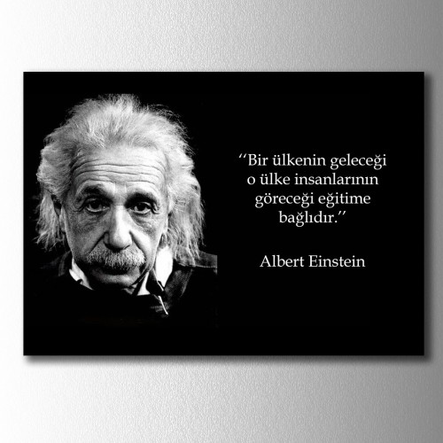 Einstein Eğitim Kanvas Tablo