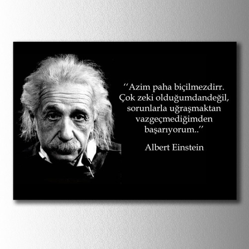 Einstein Azim Kanvas Tablo