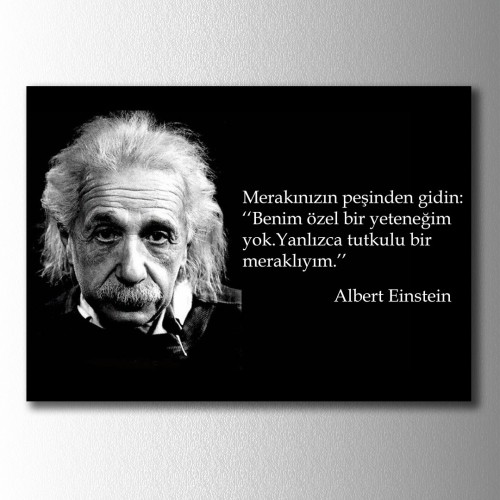 Einstein Merak Kanvas Tablo