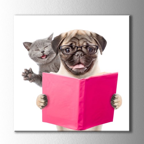 Kitap Okuyan Kedi ve Köpek Kanvas Tablo