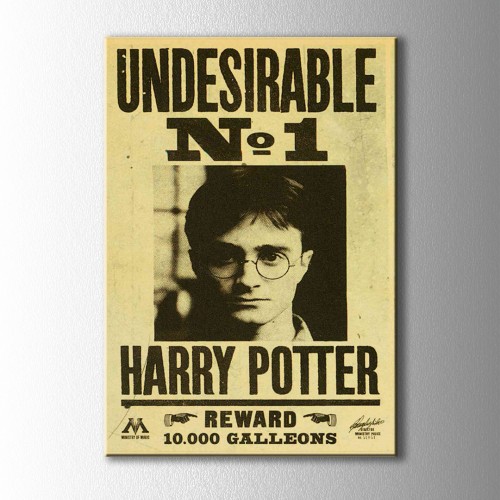 Harry Potter Afiş Kanvas Tablo