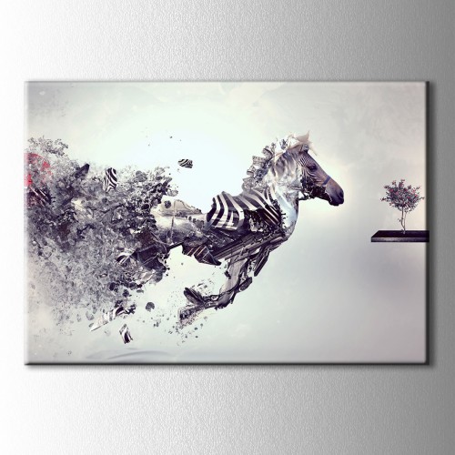 Siyah Beyaz Zebra Kanvas Tablo