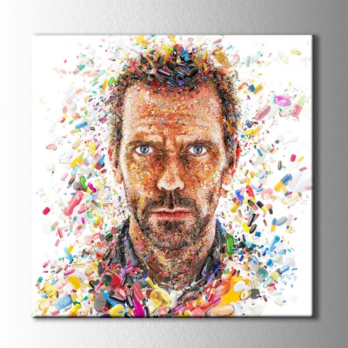 Dr.House Kanvas Tablo