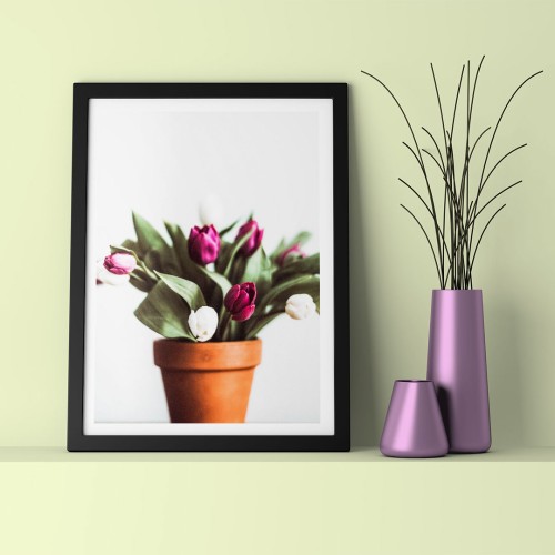 Pembe ve Beyaz Tomurcuk Çerçeveli Poster