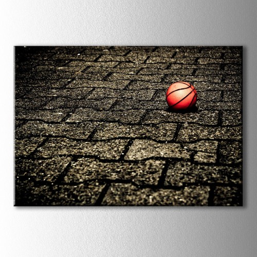 Parke Taşlar Basketbol Topu Kanvas Tablo 