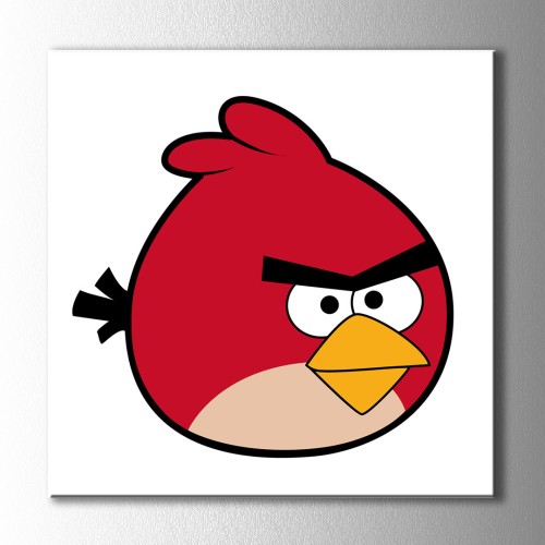Angry Bird Kare Kanvas Tablo