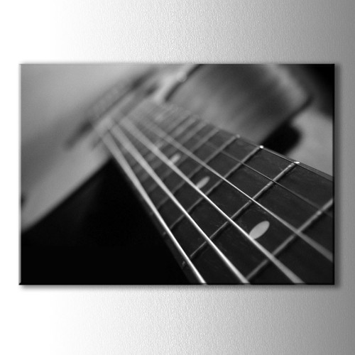 Siyah Beyaz Gitar Telleri Kanvas Tablo