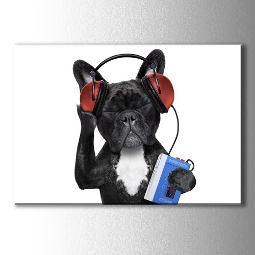 Kulaklıklı Köpek Kanvas Tablo