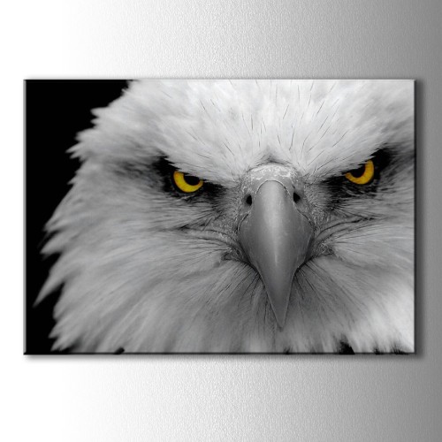 Kartal Kanvas Tablo